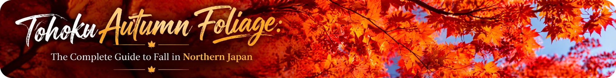Tohoku Autumn Foliage: The Complete Guide to Fall in Northern Japan