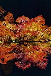 From tokyo To fukushima