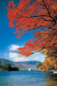 From tokyo To shinaomori