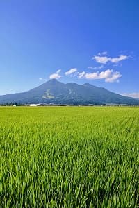 From tokyo To fukushima